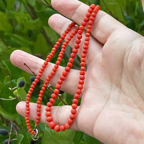 Antique undyed red coral graduated bead necklace - Picture 2 of 4